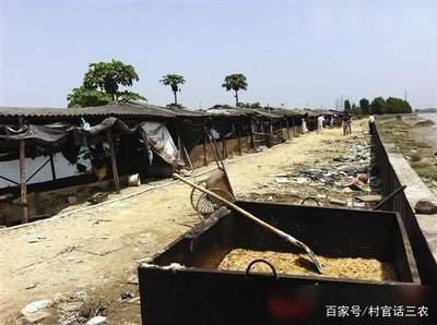 农村养殖场赔偿标准