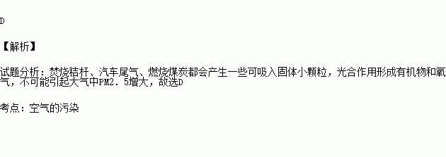 光合汽车检测