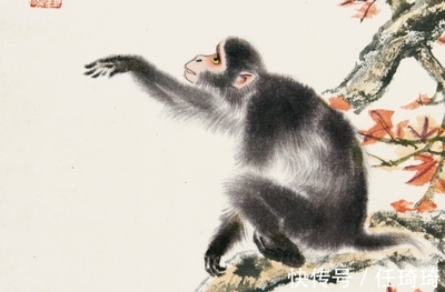 循规蹈矩是什么生肖