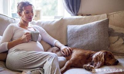 孕妇养宠物