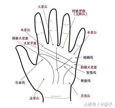 男手相婚姻线大全图解