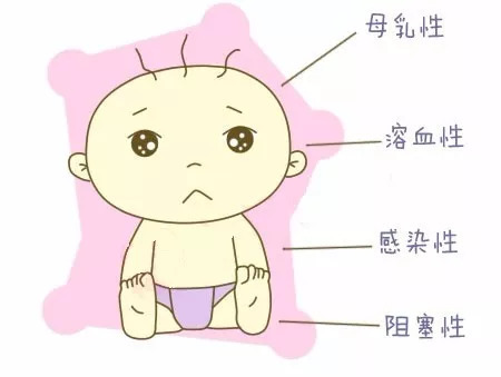 母乳停多少小时黄疸能好