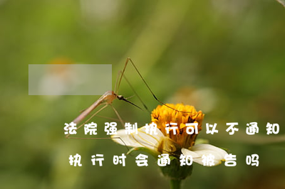 民事诉讼法251条