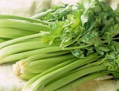 生吃芹菜减肥吗