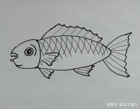 简单小鱼怎么画