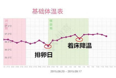 月经期排卵期体温是多少正常