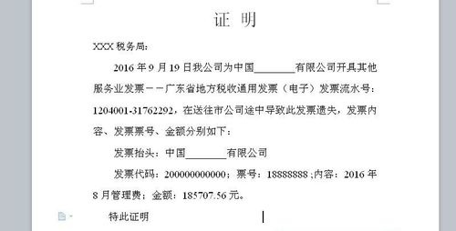 作废发票丢失情况说明怎么写