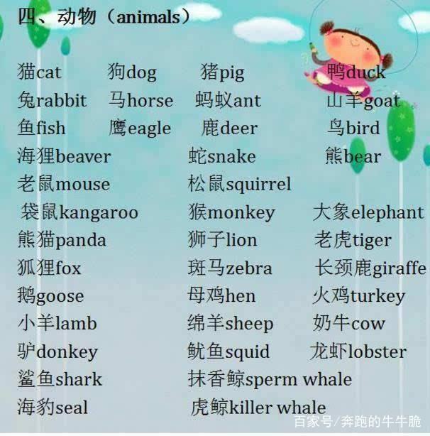 母鸡英语单词