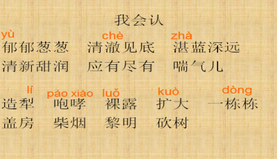 关于设计的词语