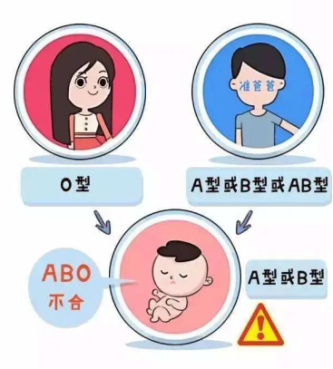 如何知道胎儿血型