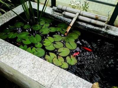 水池风水