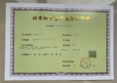 开淘宝网店需要营业执照吗