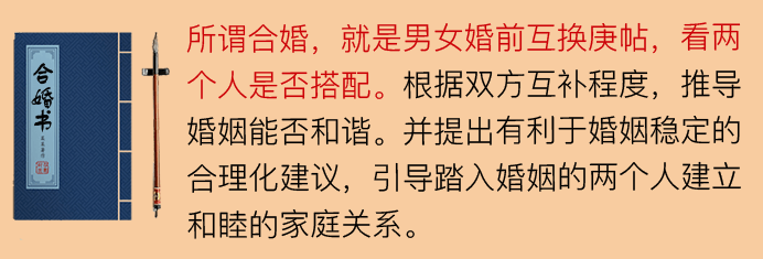 2019年的是什么命