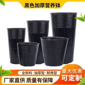 黑色塑料育苗杯