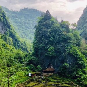 利川 旅游攻略