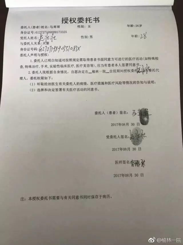 委托书委托人是谁