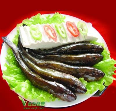 孕妇梦见鲶鱼