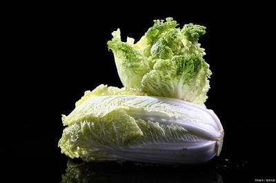 大白菜孕妇可以吃吗