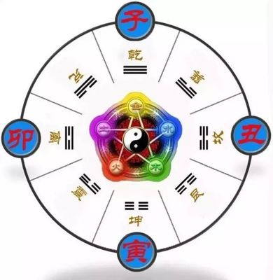 子属于五行中的什么
