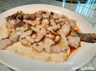 海桂鱼做法大全家常做法
