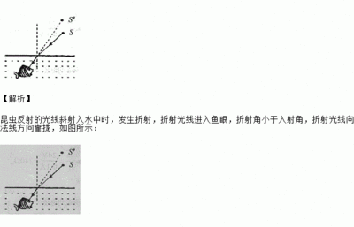 乌龟的题目怎么写