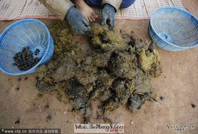 周公解梦拉屎