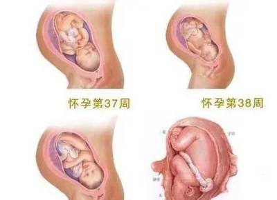 怀孕后两个月体重增加多少