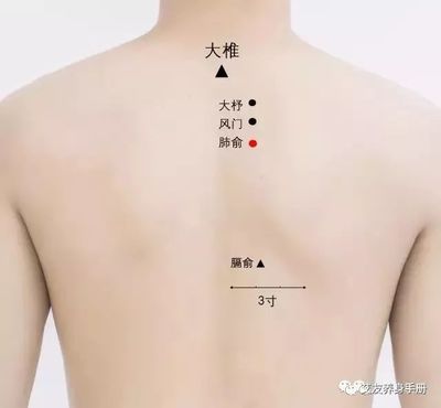 咳嗽艾灸什么穴位