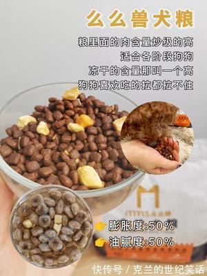 狗粮泡水要泡多少钱