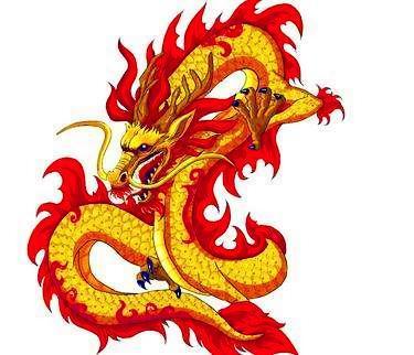 男属龙的和什么属相最配