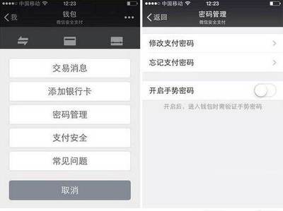 苹果有指纹锁忘记密码