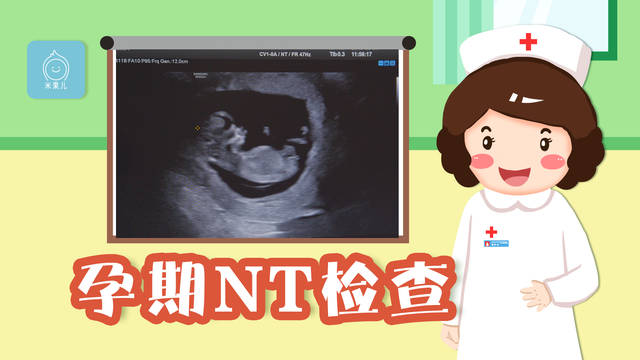 怀孕建档是什么意思