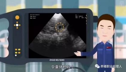 怀孕21天能看到孕囊吗
