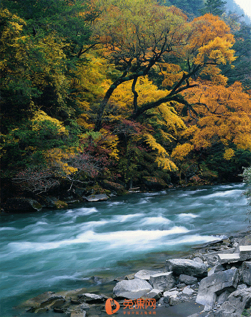 静态风景