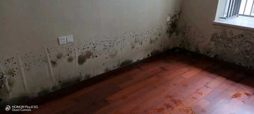 墙纸泡水了怎么补救