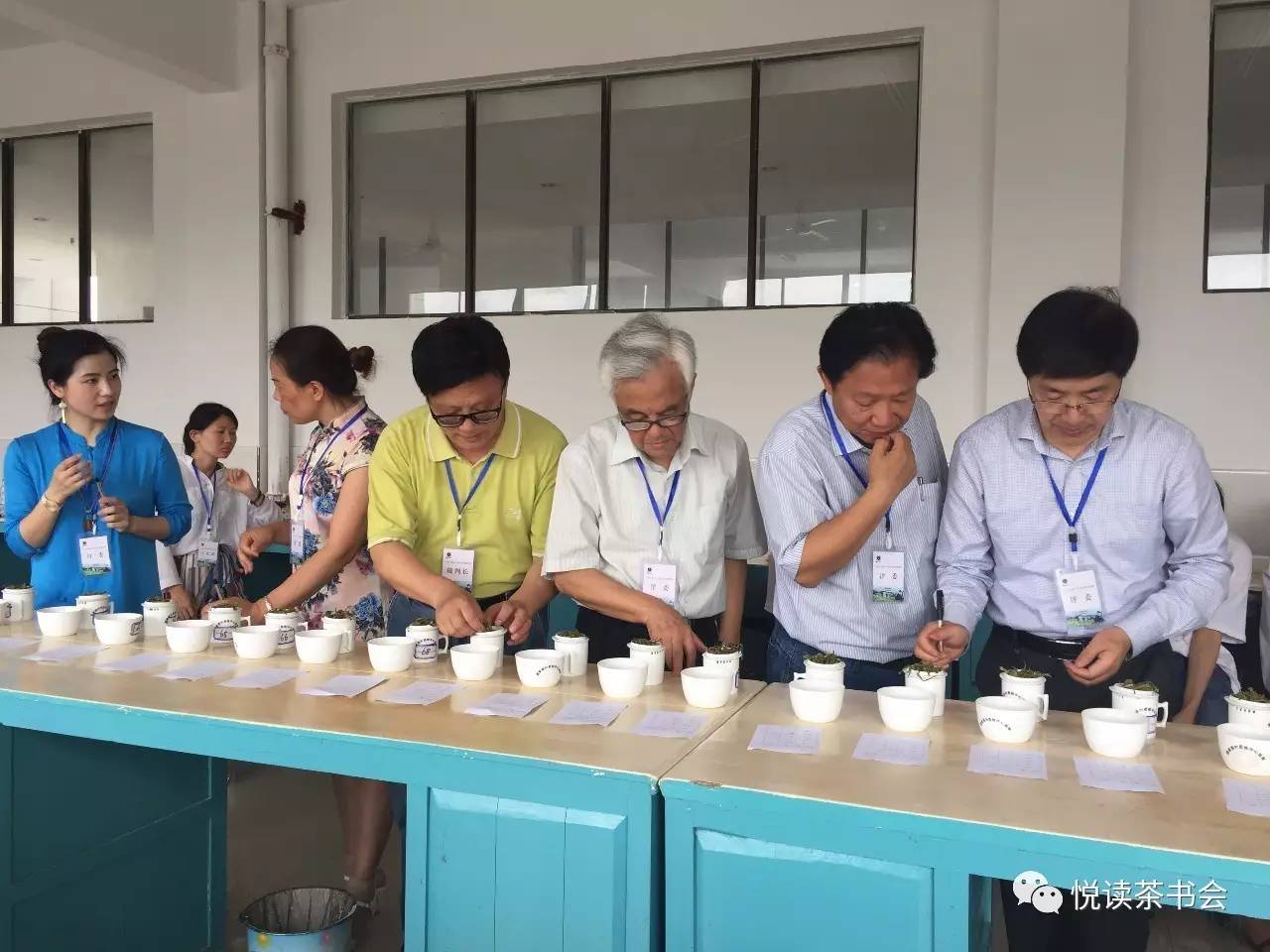 茶叶评审
