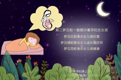 孕妇梦见红蛇是女孩吗