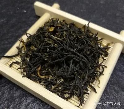 大红袍是什么茶种