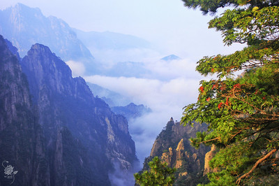 我宿黄山碧溪月下一句