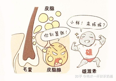 大姨妈期长痘痘