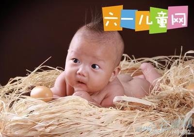 鸡宝宝名字大全