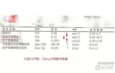 甲减影响胎儿发育吗