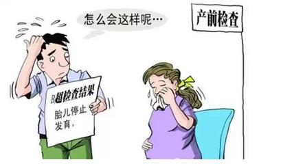 孕妇几个月需要人照顾