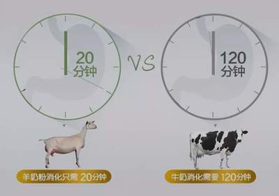 羊奶粉和牛奶粉区别