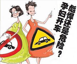 梦见孕妇开车