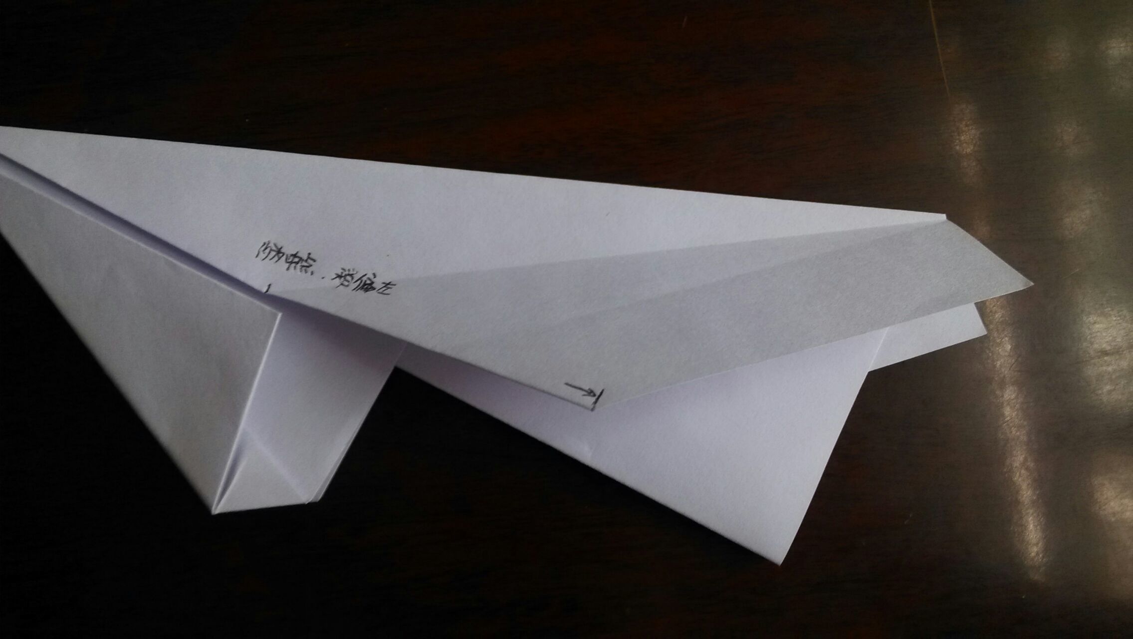 纸飞机封号