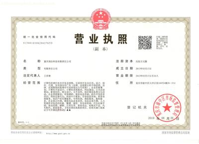 公司的法人代表是什么意思