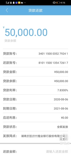 银行贷款记录
