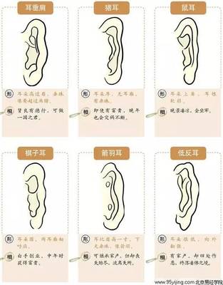 男人反耳面相