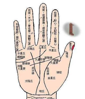 手指看命运指长短